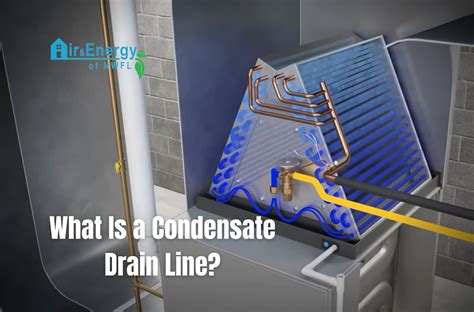 What is a Condensate Drain Line? | Expert Tips for Air and Energy of NWFL