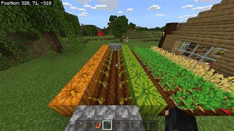 How to Grow Melons in Minecraft