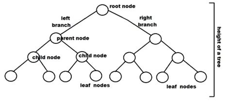 Perfect Binary Tree - TAE