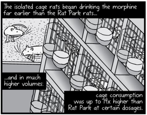 What Does “Rat Park” Teach Us About Addiction?