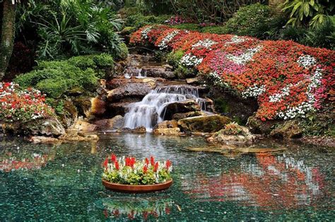 119 best flowers,garden,waterfall images on Pinterest | Flower beds ...