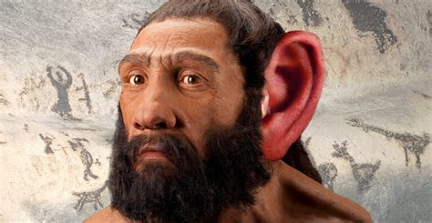 Scientists Now Believe They Know Why Neanderthals Went Extinct - The ...