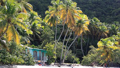 USVI Yacht Charter: Embark on a Memorable Sailing Adventure in the Stunning US Virgin Islands ...