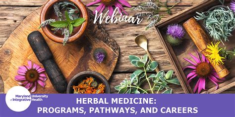 Webinar | Herbal Medicine: Programs, Pathways, and Careers - MUIH