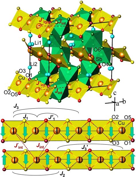 Top: crystallographic structure of LiSbCuO 4 ≡ LiCuSbO 4. Cu 2+ ions ...