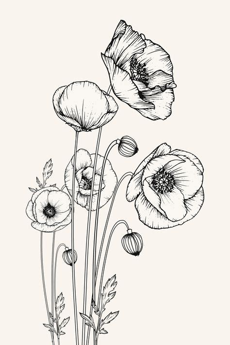 Poppy Flower Print | Black & White Drawing | Nature Lover Wall Art ...