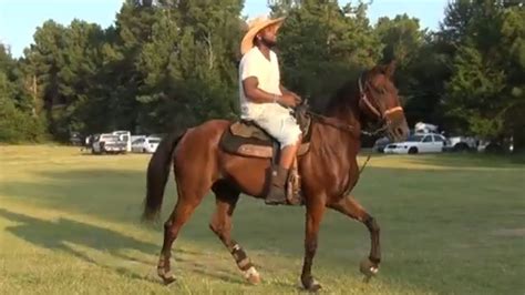 Gaited Horse Trail Riders of New Boston, Texas at Domino Trail Ride - YouTube