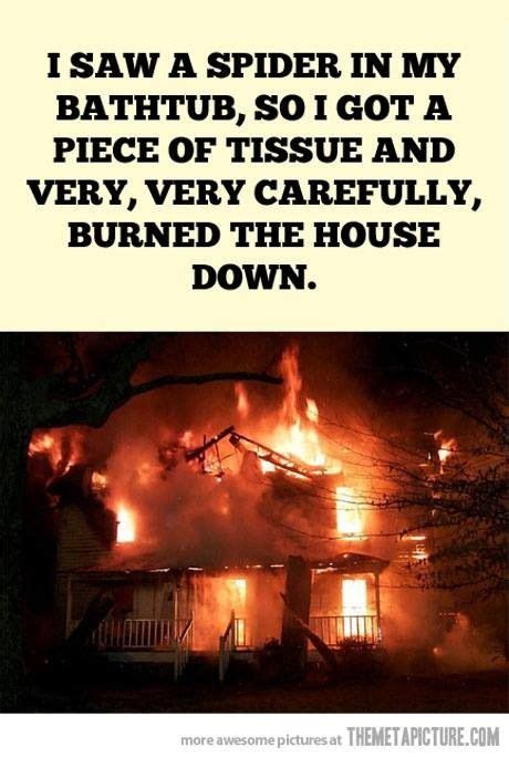 Spiders!!!! Yuk! Burn the house down!! Funny Memes, Jokes, Funny Stuff ...