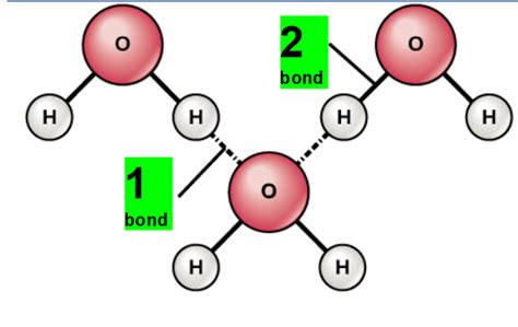 Water Molecule labeled Diagram | Quizlet