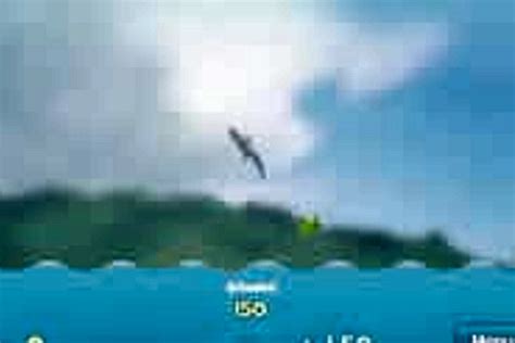 Dolphin Olympics 2 - Online Game - Play for Free | Keygames.com