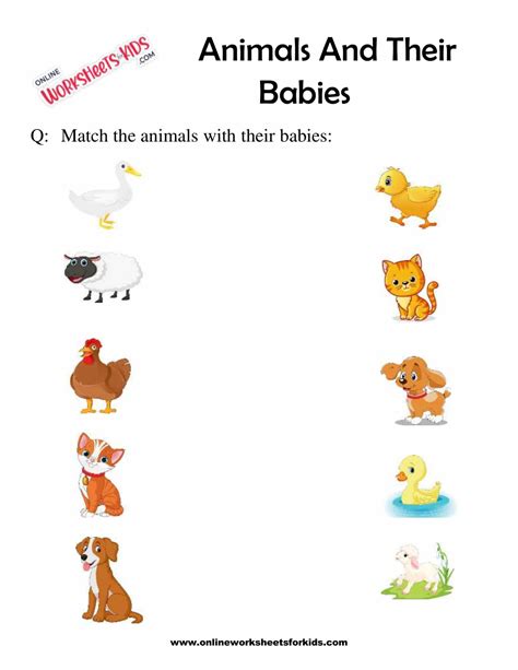 Animals And Their Young Ones Worksheet Animals And Their Bab