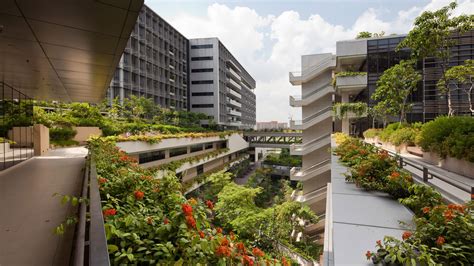 Inside the Hospital Where Greenery is the Best Medicine - Form