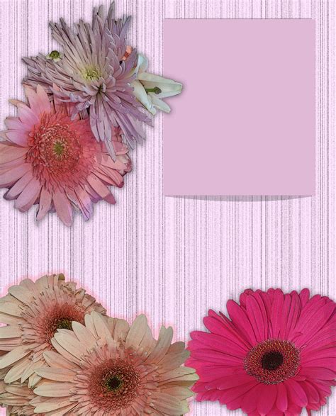 Template Special Flower Card Free Stock Photo - Public Domain Pictures