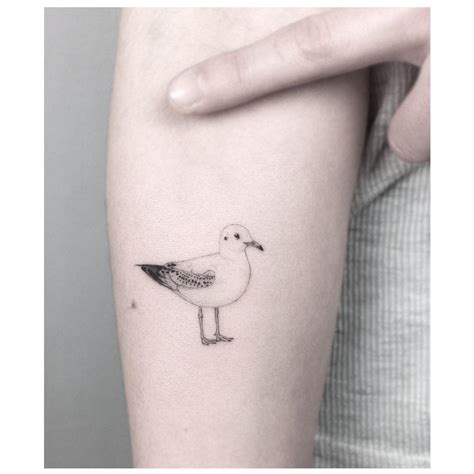 Small seagull tattoo by Jakub Nowicz - Tattoogrid.net