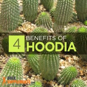 Hoodia Benefits, Side Effects & Dosage