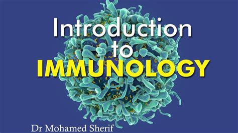 Introduction to Immunology (Updated 2021) - YouTube