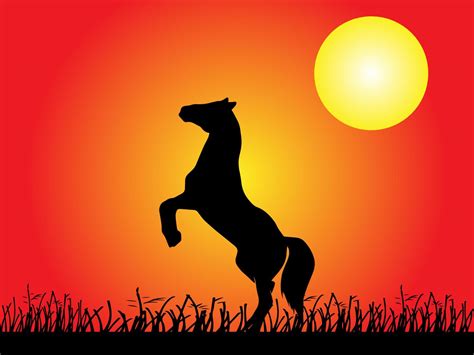 Horse Silhouette on Sunset Background 11005704 Vector Art at Vecteezy