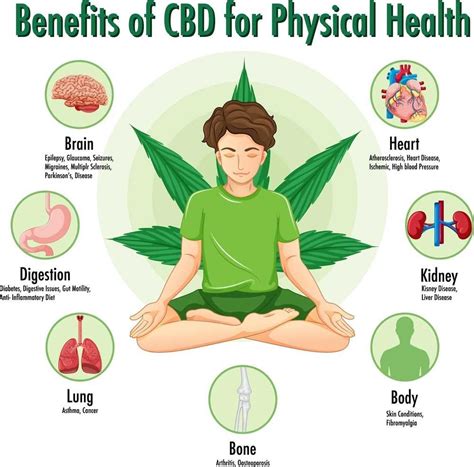 Understanding the Benefits of CBD in 2024 - Weedime