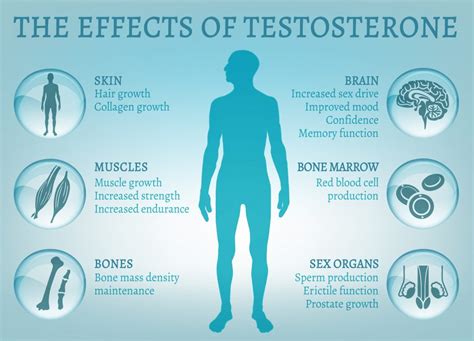 Negative aspects of low testosterone levels