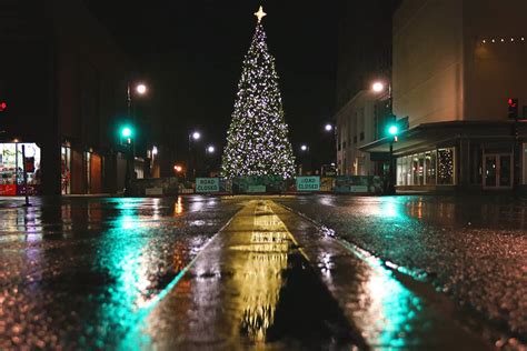 Where to Find the Best Savannah GA Christmas Lights - Savannah First-Timer's Guide