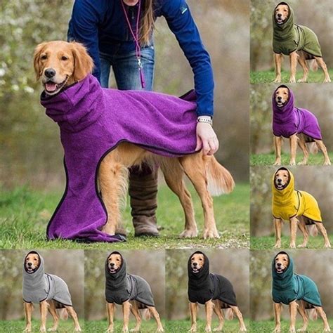 Dogs Golden Retriever, Retriever Dog, Dog Skin, Winter Dog, Canine ...