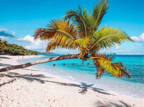 Best St John USVI Beaches: Where to Find The 10 Most Beautiful