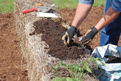 Create a Garden Anywhere With Straw Bales | Straw bale gardening, Straw ...