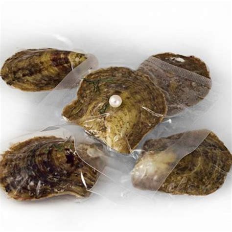 Vacuum Packed Oysters with Twin Round Freshwater Pearls - The Wish Pearl