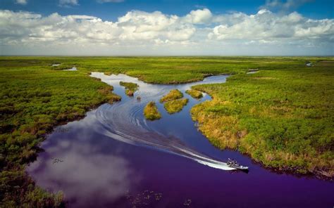 Discover the 15 Largest Rivers in Florida - A-Z Animals