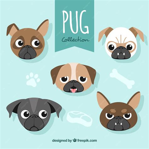 Free Vector | Pug faces with funny style