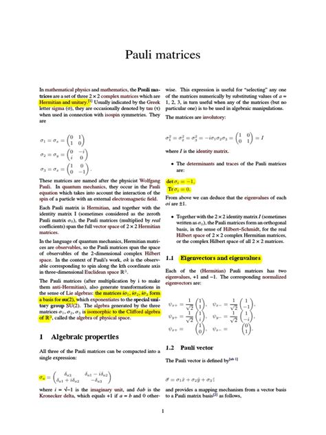 Pauli Matrices: 1 Algebraic Properties | PDF | Spin (Physics) | Linear ...