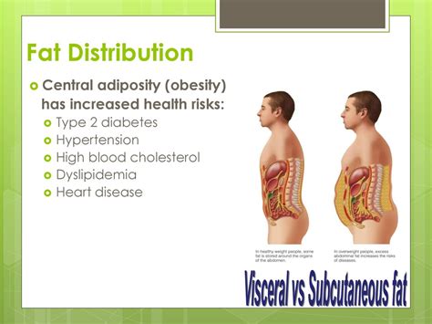 Body Composition & Weight Control - ppt download