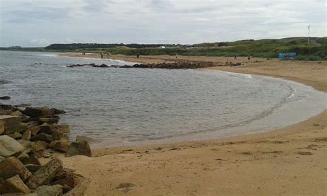 Kingsbarns Beach - All You Need to Know BEFORE You Go - Updated 2020 ...