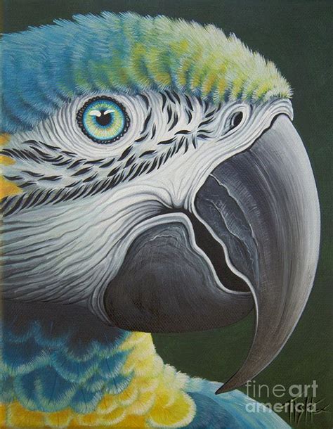 Wonderful acrylic on canvas of a parrot! | Parrot painting, Parrots art ...