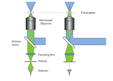 ConfocalMicroscope | Scientific Volume Imaging