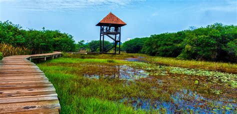 Beddagana Wetland Park – Lakpura LLC