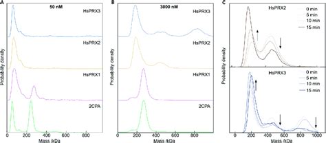 Diversification of oligomerization state of plant and human 2CPs (A ...