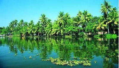 Alappuzha Backwater packages, Alleppey Backwater tourism houseboats, Alleppey House boat packages