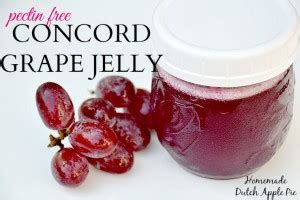 Pectin Free Concord Grape Jelly