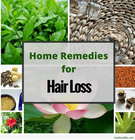 Top 10 Natural Remedies For Hair Loss - hair buddha