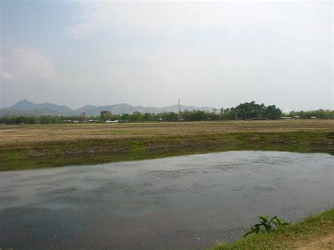 Eutrophication caused by agricultural runoff, Manipur | Flickr