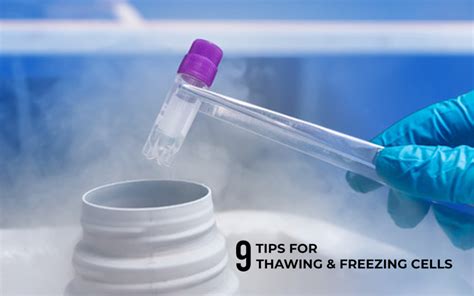 9 Tips for Thawing and Freezing Cells - Kosheeka