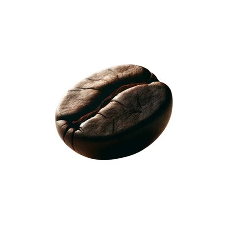 Dark Roasts – BVP Coffee Co.