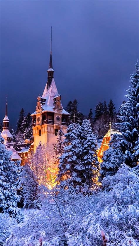 Wallpaper Romania, Sinaia, Peles castle, winter, trees, snow, night, lights 1920x1200 HD Picture ...