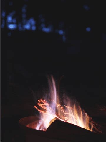 Campfire GIF - Find & Share on GIPHY