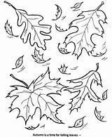 Free Leaves Coloring Pages To Print Download  sketch template