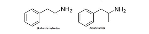 Phenylethylamine - Scientific Review on Usage, Dosage, Side Effects | Examine.com