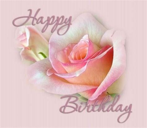 Pink Blossoming Happy Birthday Rose Pictures, Photos, and Images for Facebook, Tumblr, Pinterest ...