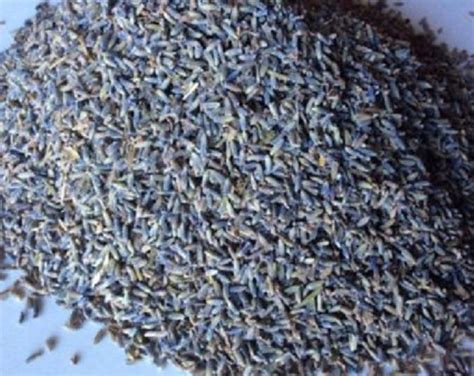 Lavender Sleep Pillow Lavender Sachet Sleep Herbs - Etsy