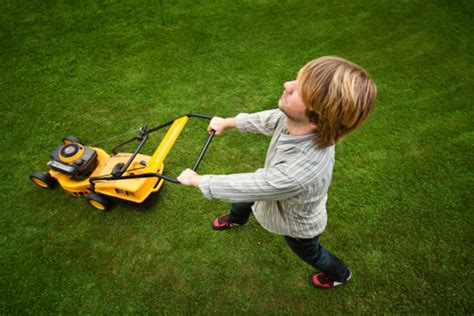 Young Man Pushing Lawn Mower On Grass Stock Photo - Download Image Now ...